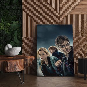 Quadro Decorativo Cinema Harry Potter 06