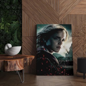 Quadro Decorativo Cinema hermione HP 02