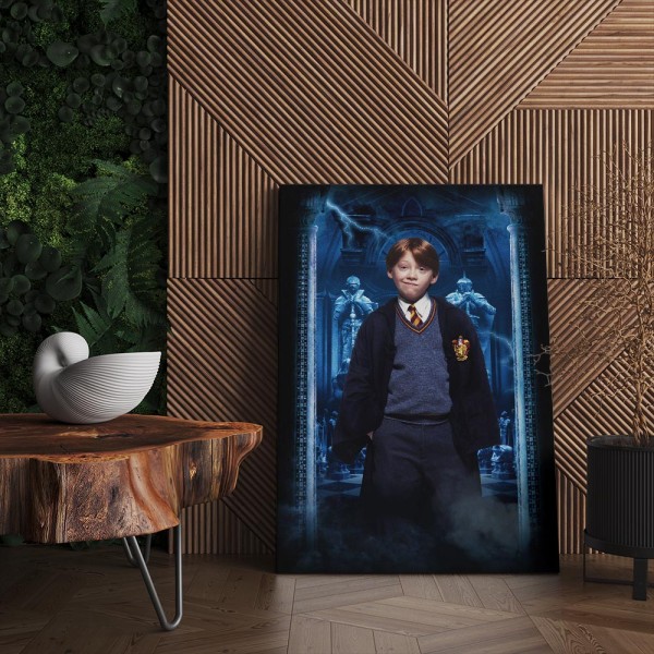Quadro Decorativo Cinema Rony Wesley HP 02