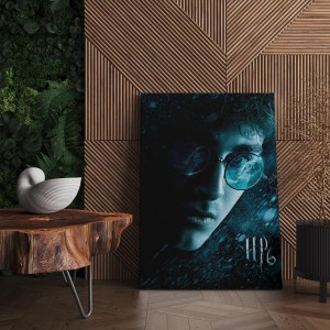 Quadro Decorativo Cinema Harry Potter 13