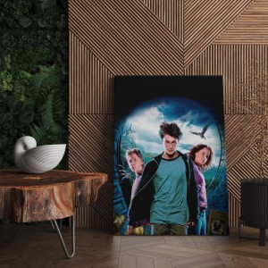 Quadro Decorativo Cinema Harry Potter 14