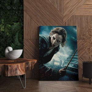 Quadro Decorativo Cinema Harry Potter 10 Hermione