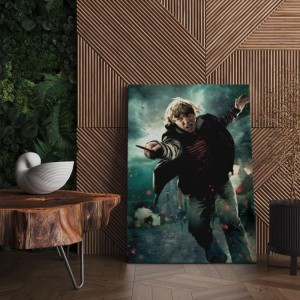 Quadro Decorativo Cinema Harry Potter 11 Rony