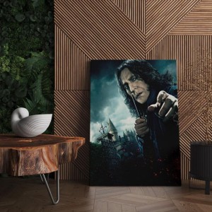 Quadro Decorativo Cinema Harry Potter 12 Snape