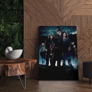 Quadro Decorativo Cinema Harry Potter 31