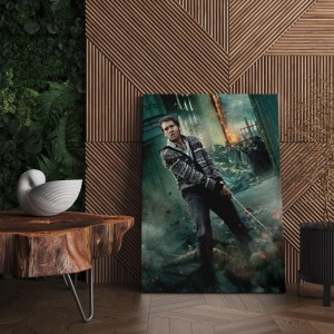 Quadro Decorativo Cinema Harry Potter 20