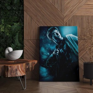 Quadro Decorativo Cinema Harry Potter 22