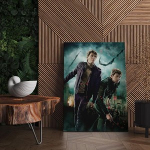 Quadro Decorativo Cinema Harry Potter 24