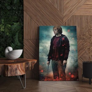 Quadro Decorativo Cinema Harry Potter 27