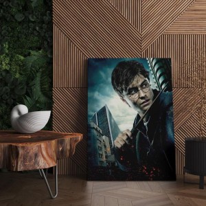 Quadro Decorativo Cinema Harry Potter 26