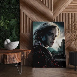 Quadro Decorativo Cinema Harry Potter 28