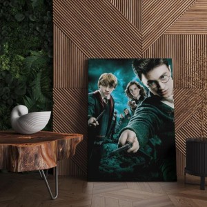 Quadro Decorativo Cinema Harry Potter 37