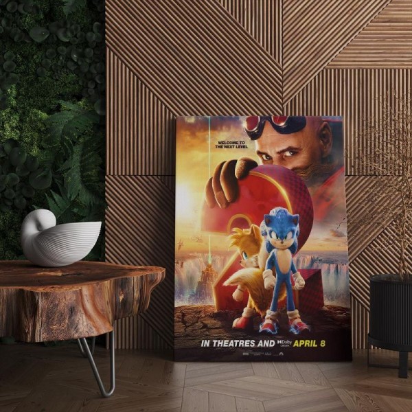 Quadro Decorativo Cinema Sonic 07