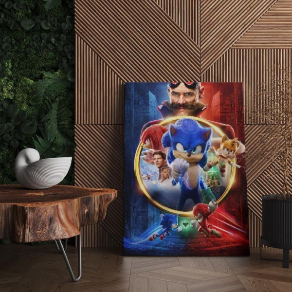 Quadro Decorativo Cinema Sonic 08