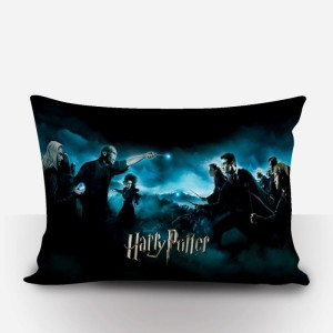 Almofada Pequena Harry Potter 14