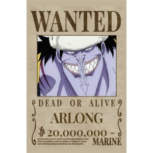 Placa Decorativa OnePiece Wanted Arlong