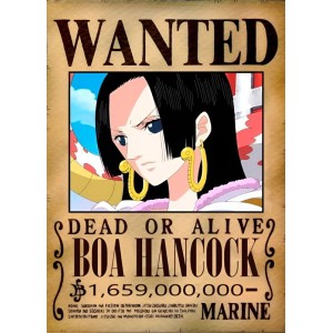 Placa Decorativa OnePiece Wanted Boa hancook