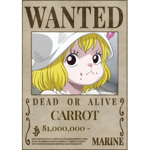 Placa Decorativa OnePiece Wanted Carrot