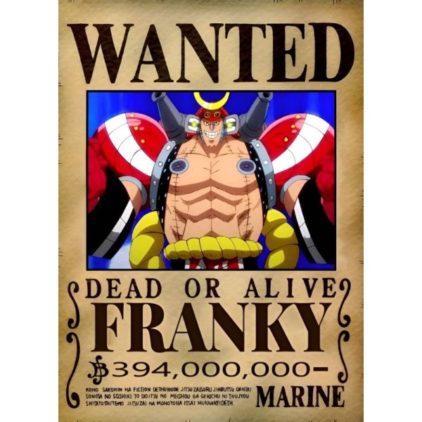 Placa Decorativa Onepiece WANTED Franky Placa Decorativa Onepiece WANTED Franky