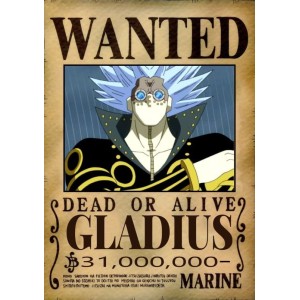Placa Decorativa OnePiece Wanted Gladius