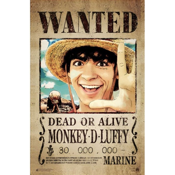 Placa Decorativa OnePiece Wanted Luffy NetFlix