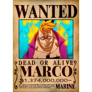 Placa Decorativa OnePiece Wanted Marco