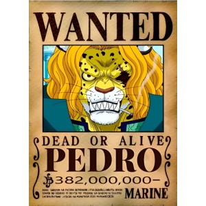 Placa Decorativa OnePiece Wanted Pedro