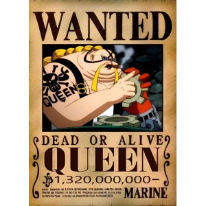 Placa Decorativa OnePiece Wanted Queen