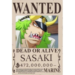Placa Decorativa OnePiece Wanted Sasaki
