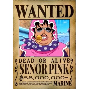 Placa Decorativa OnePiece Wanted Senor Pink