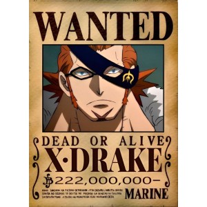 Placa Decorativa OnePiece Wanted X-Drake