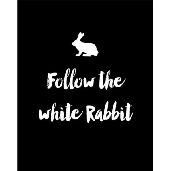 Placa Decorativa     Follow the white rabbit