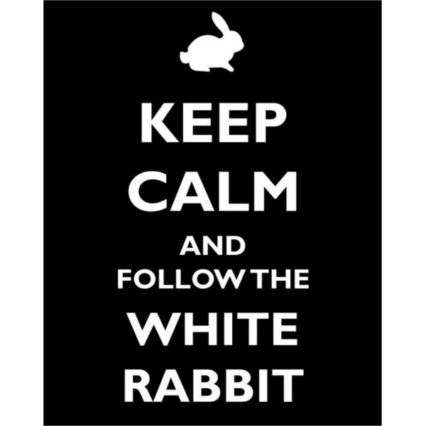 Placa Decorativa    Mantenha a calma e siga o coelho branco